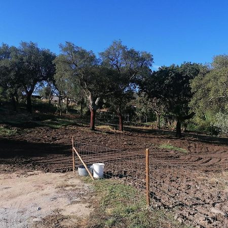 Casas De Marvao - Quinta Da Bela Vista 빌라 외부 사진