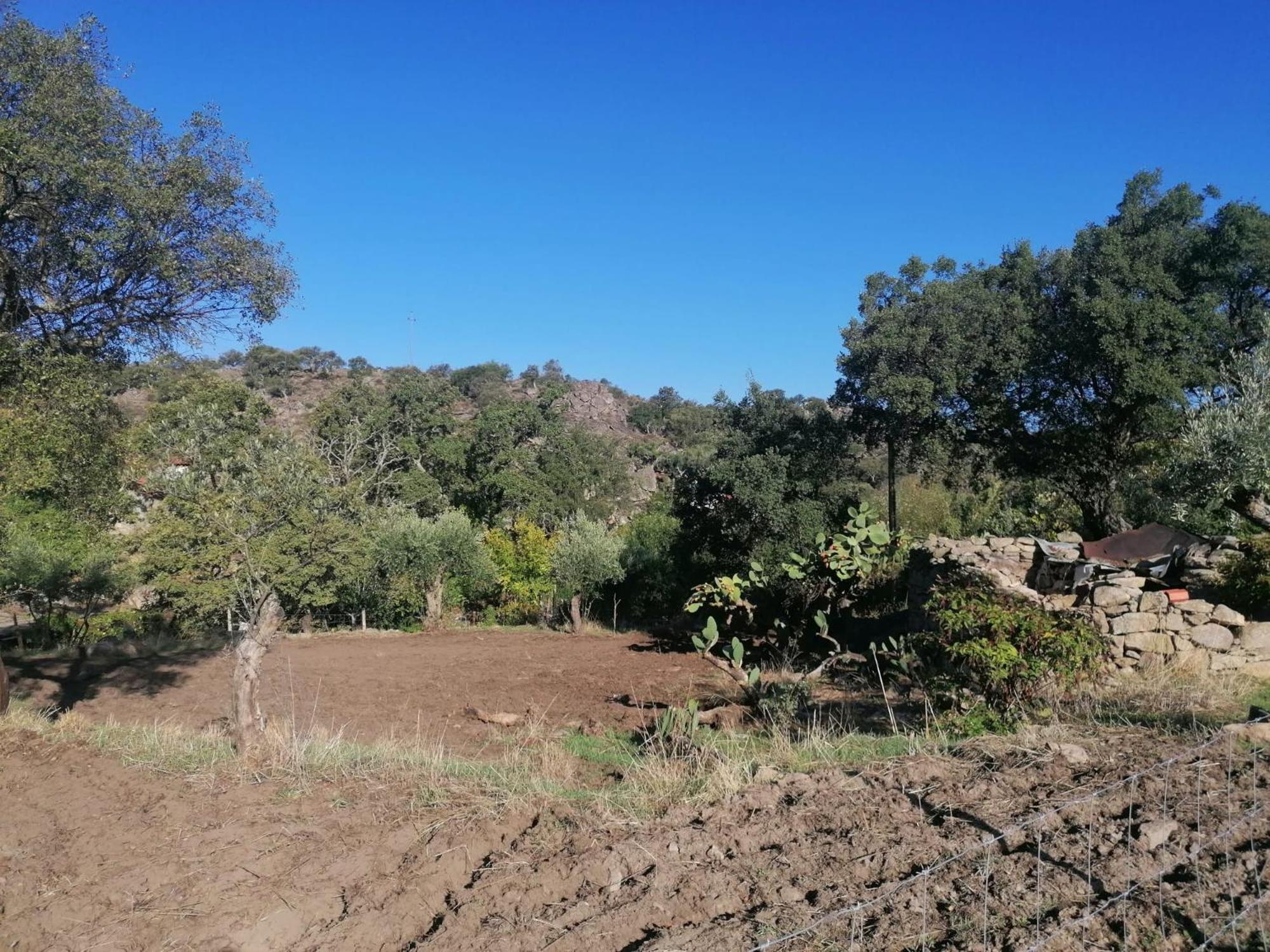 Casas De Marvao - Quinta Da Bela Vista 빌라 외부 사진